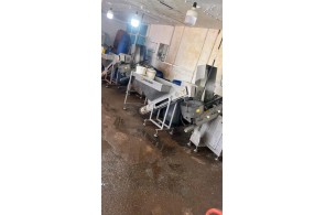 پخش زیتون دالفک در منجیل