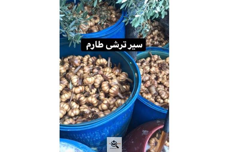 بازرگانی محصولات امینی در کرج