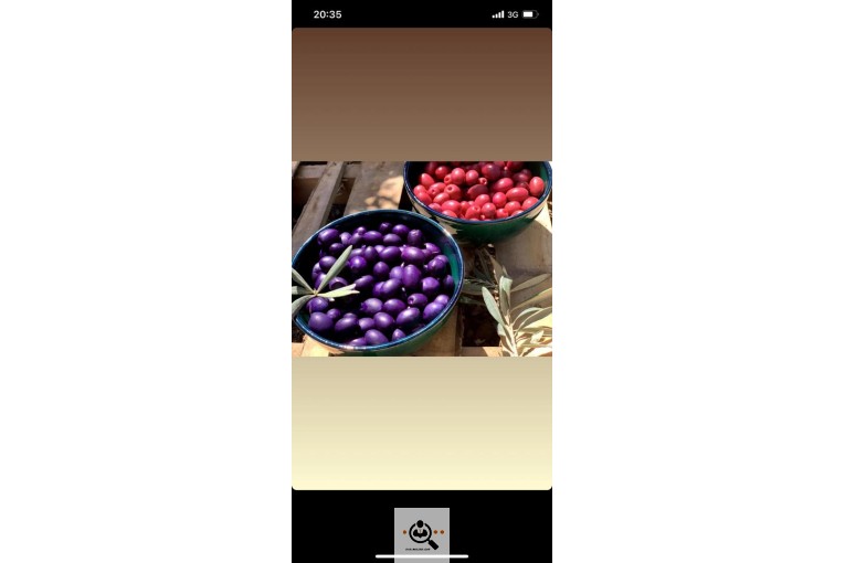 بازرگانی محصولات امینی در کرج