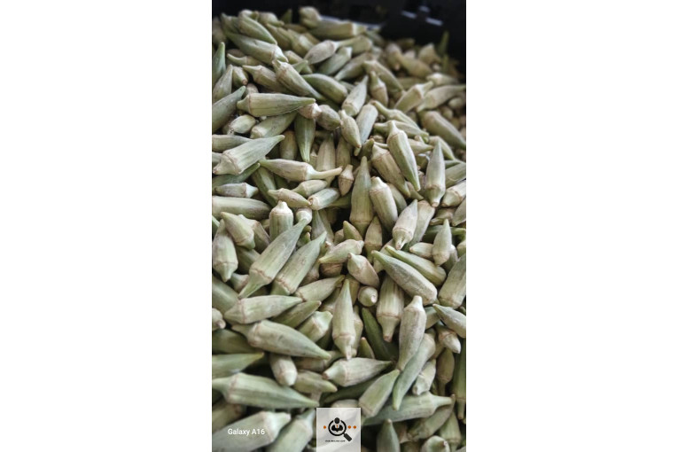 تولید و پخش ترشیجات سنتی محمدی در همدان