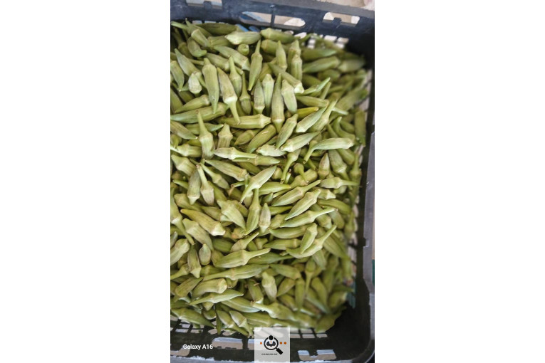 تولید و پخش ترشیجات سنتی محمدی در همدان