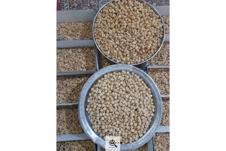 خشکبار برادران شکری در آذربایجان شرقی