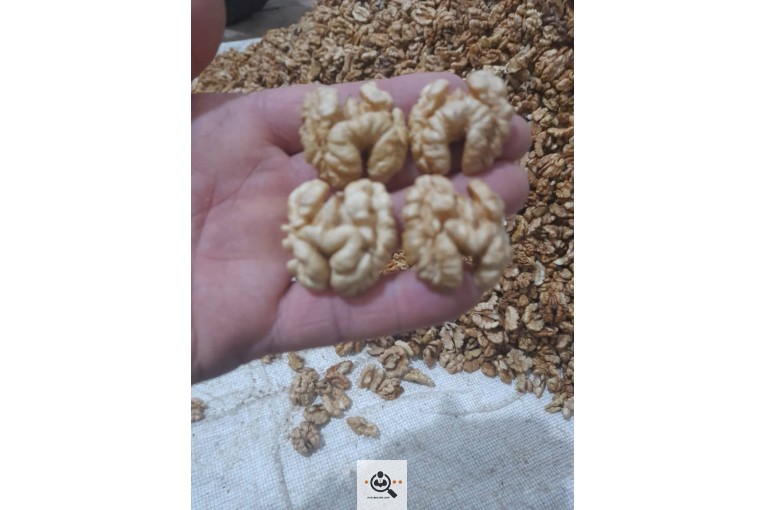 خشکبار برادران شکری در آذربایجان شرقی