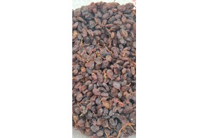 کشمش تک ملکان در آذربایجان شرقی