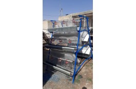 تجهیزات مرغداری تیمور اینالو در آبگرم