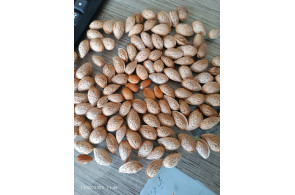 خرید و فروش انواع بادام و مغز بادام در نجف آباد