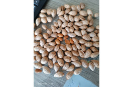 خرید و فروش انواع بادام و مغز بادام در نجف آباد