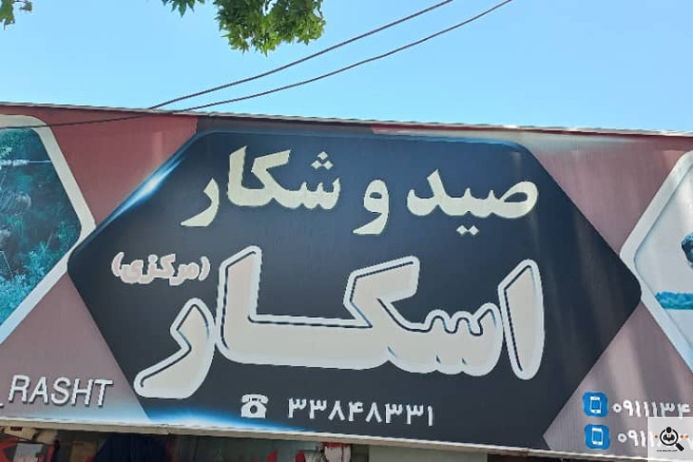 صید شکار اسکار در رشت