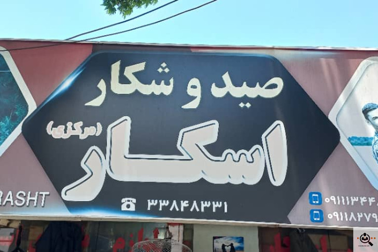 صید شکار اسکار در رشت