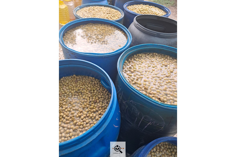 تولید و پخش ترشیجات ابتکار معطر در قائمشهر