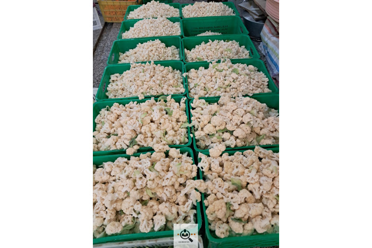 تولید و پخش ترشیجات ابتکار معطر در قائمشهر