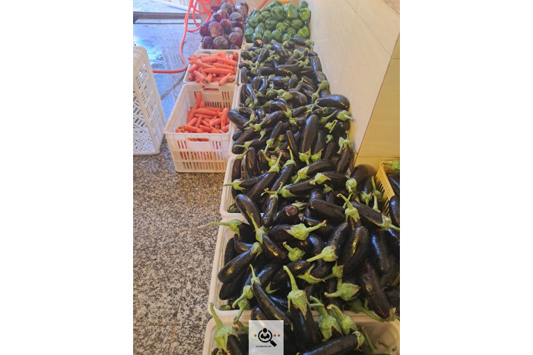 تولید و پخش ترشیجات ابتکار معطر در قائمشهر