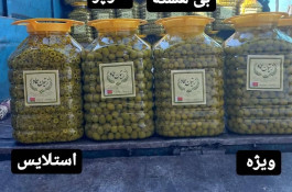 پخش زیتون عماد در زنجان