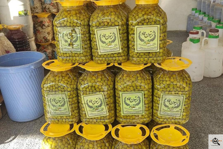 پخش زیتون عماد در زنجان