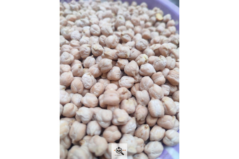 آقای نخود ایران در کرمانشاه