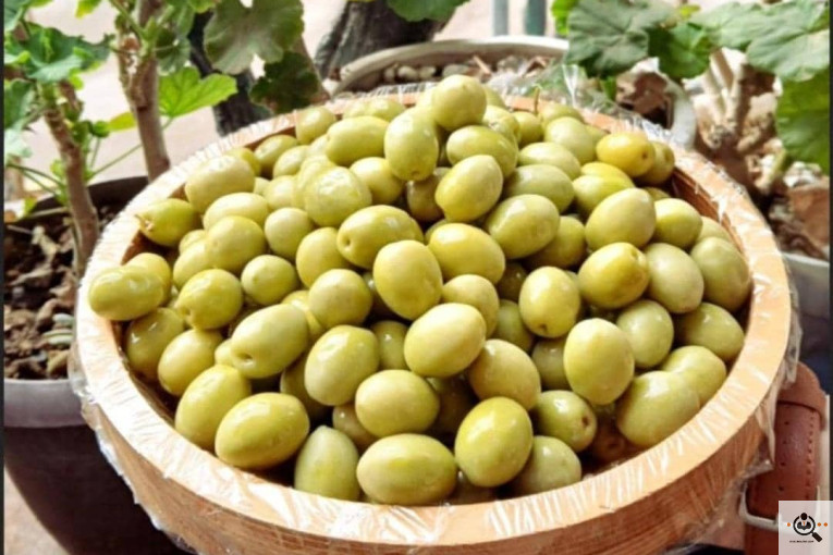 فروشگاه شهر زیتون 1 در طارم