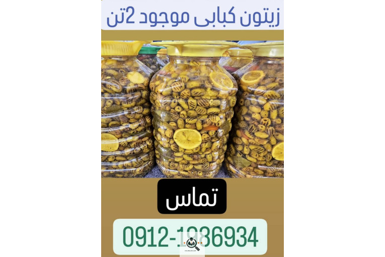 شرکت زیتون همیشه سبز حلما هیما (نیکا) در زنجان