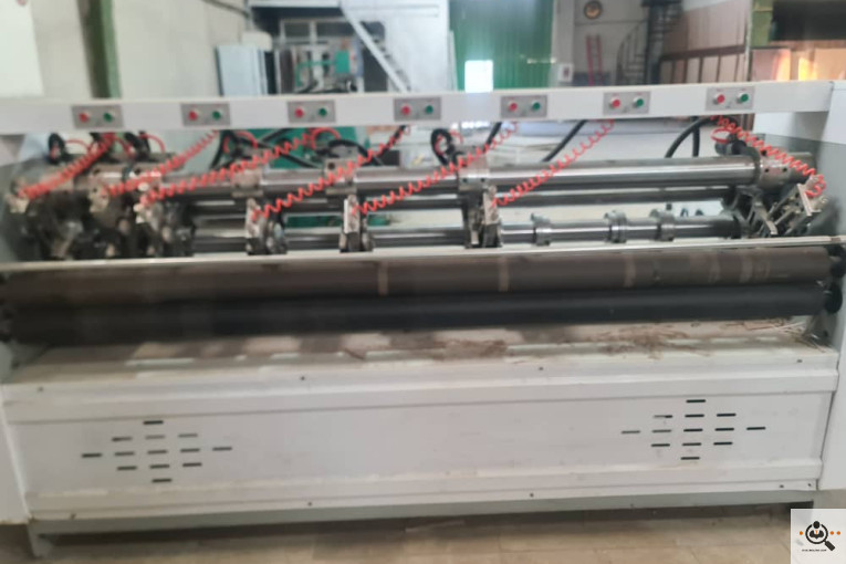 کارتن سازی سارا در تهران