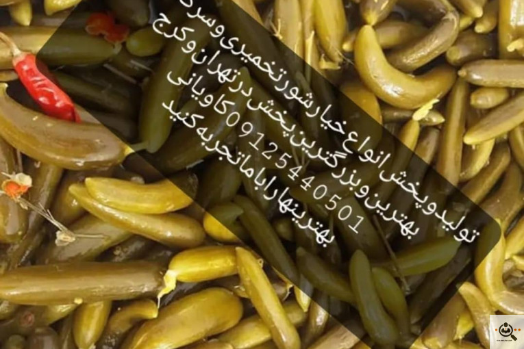 پخش خیارشور کاویانی در تهران