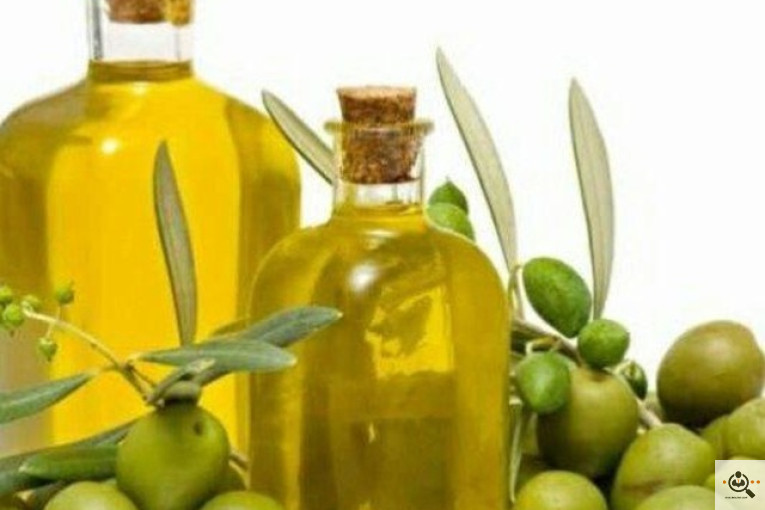 پخش زیتون سید مهدی شفیعی در طارم