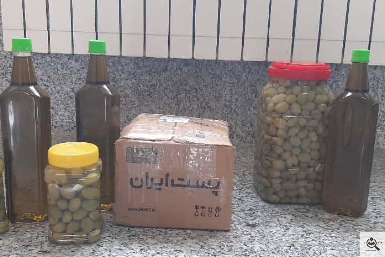 پخش زیتون سید مهدی شفیعی در طارم