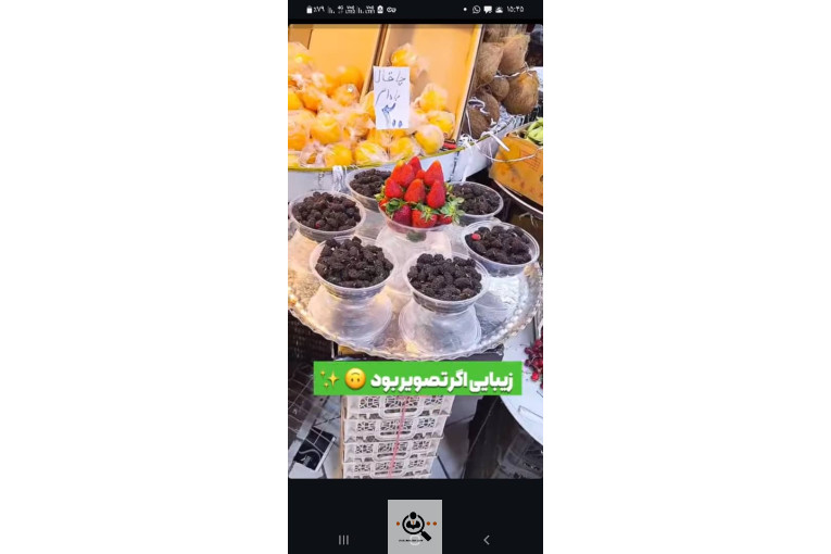 پخش زیتون سید مهدی شفیعی در طارم