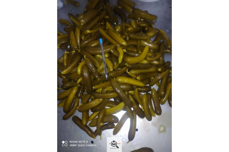 پخش خیارشور و ترشیجات صباحی در همدان