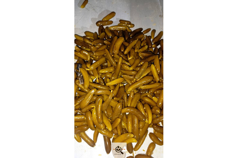 پخش خیارشور و ترشیجات صباحی در همدان
