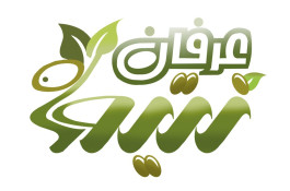 کارخانه ماهدانه عرفان زیتون در طارم
