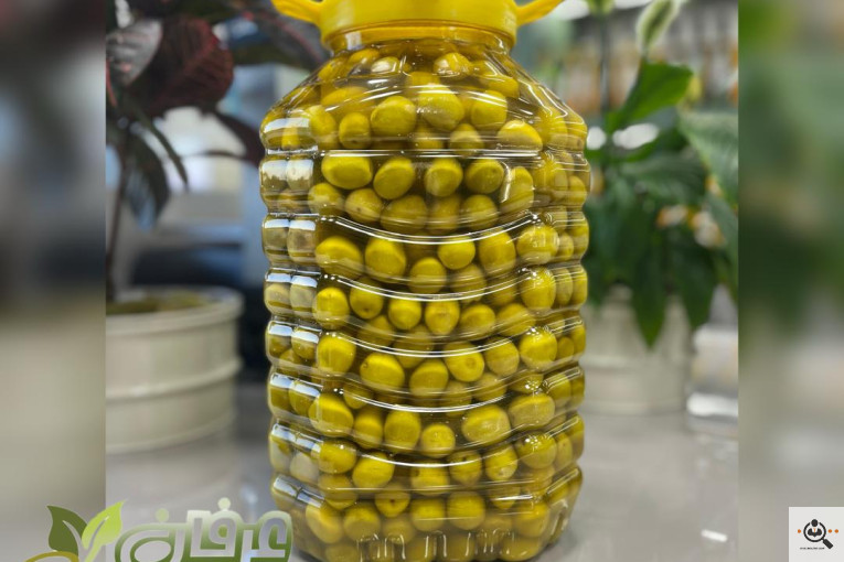 کارخانه ماهدانه عرفان زیتون در طارم