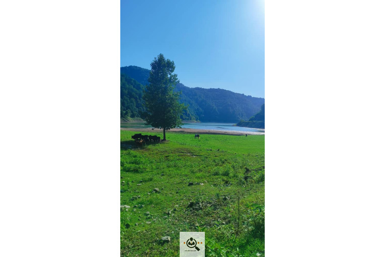 مشاور املاک شرق گیلان در رشت