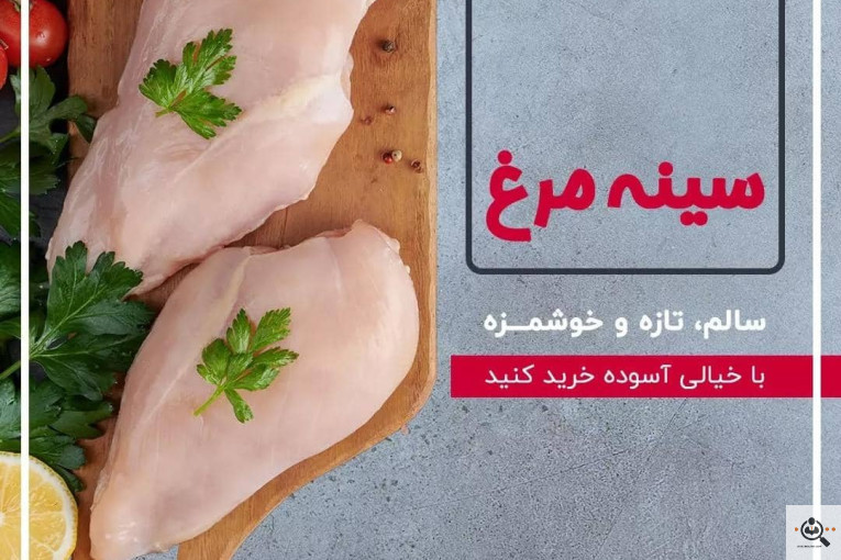 گیلان پروتئین در رشت