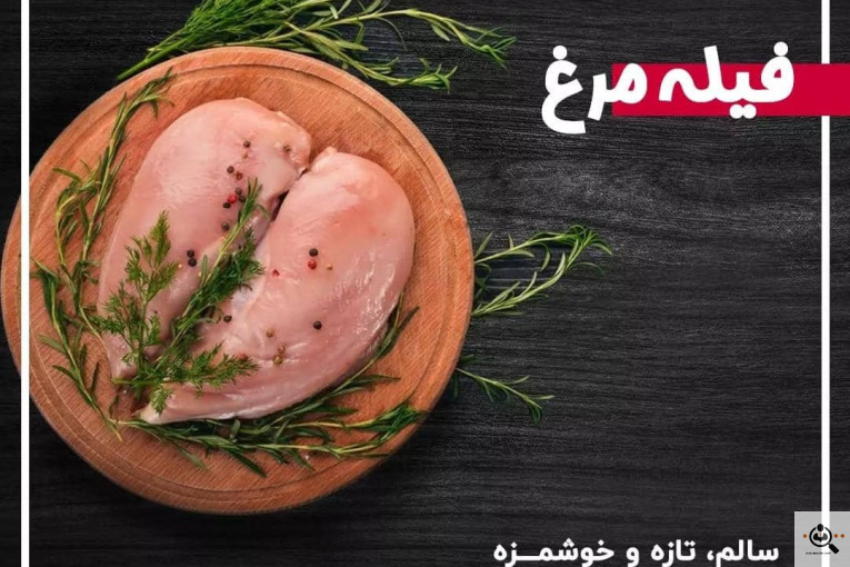 گیلان پروتئین در رشت