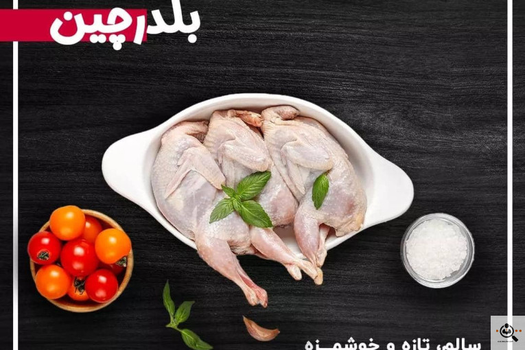 گیلان پروتئین در رشت