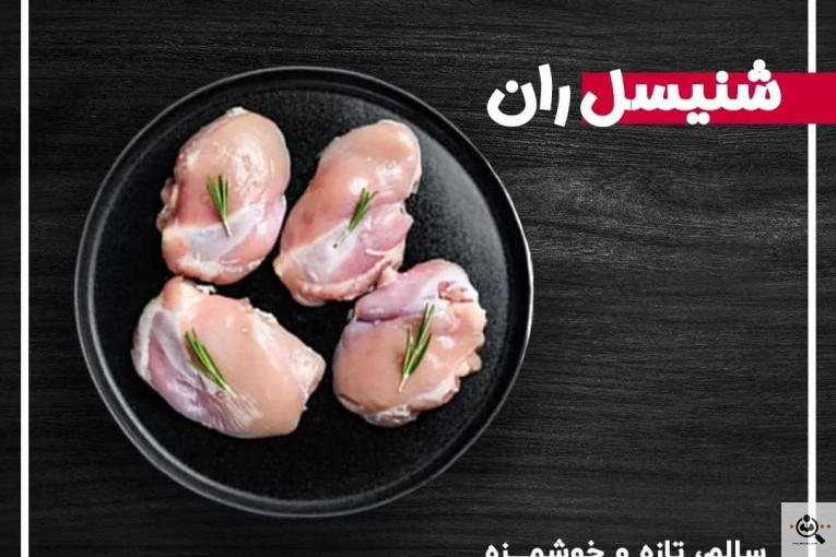 گیلان پروتئین در رشت