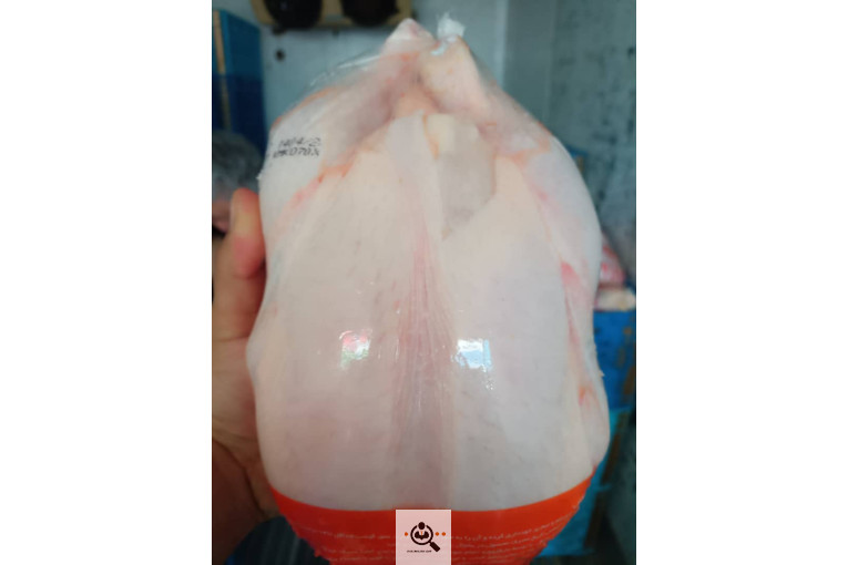پخش و فروش مرغ پارسی در سراسر ایران