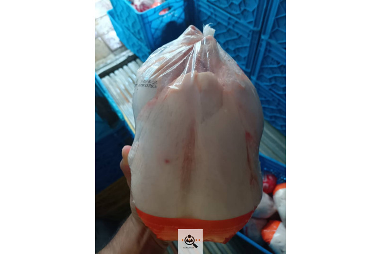 پخش و فروش مرغ پارسی در سراسر ایران
