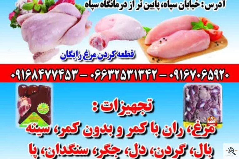 ارزانسرای مرغ برادران امیری در الشتر