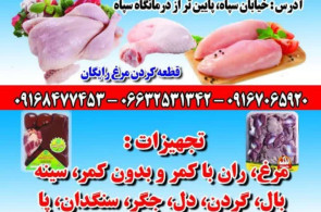 ارزانسرای مرغ برادران امیری در الشتر