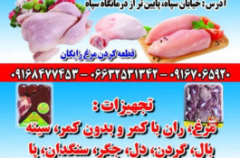 ارزانسرای مرغ برادران امیری در الشتر