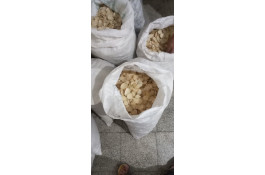 پخش خشکبار موسیر در نجف آباد
