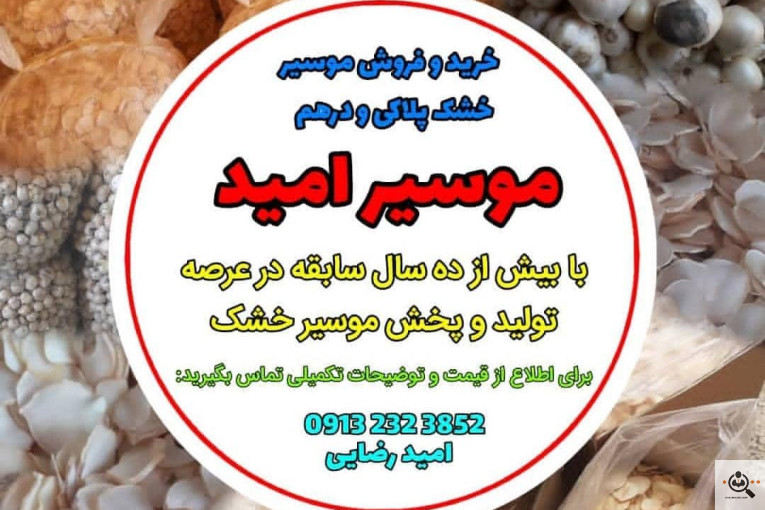 خرید و فروش موسیر امید رضایی در اصفهان