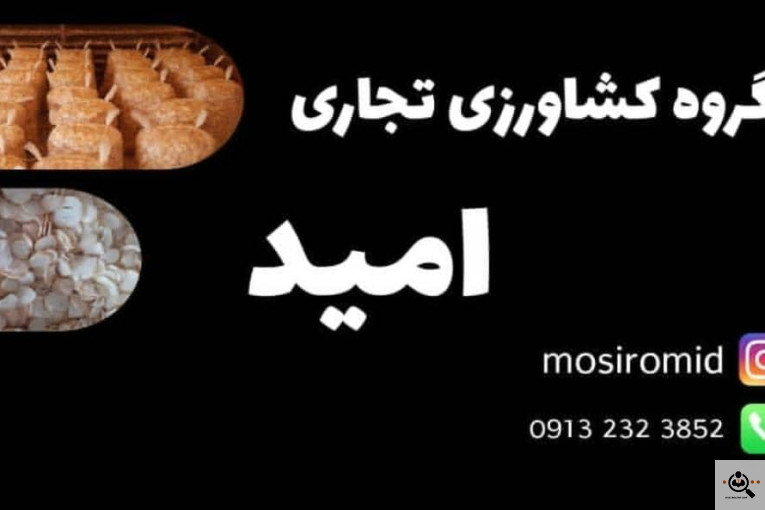 خرید و فروش موسیر امید رضایی در اصفهان