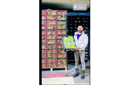 تامين كننده و صادرات صیفی جات و میوه جات میلاد بقایی در آستارا