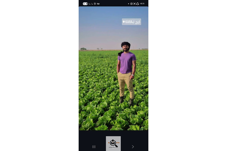 تامين كننده و صادرات صیفی جات و میوه جات میلاد بقایی در آستارا