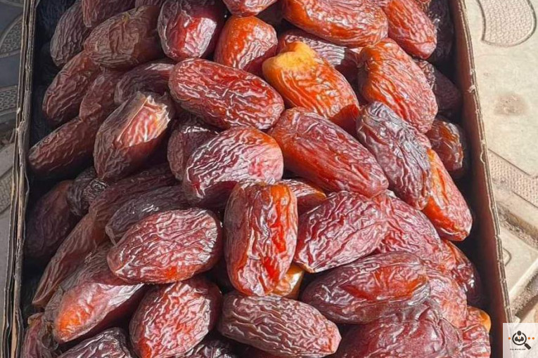 نخل و خرمای 1400 در تهران