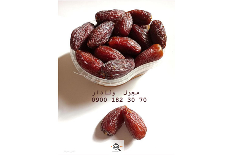 نخل و خرمای 1400 در تهران