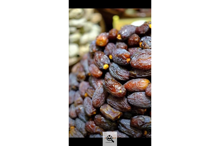 نخل و خرمای 1400 در تهران