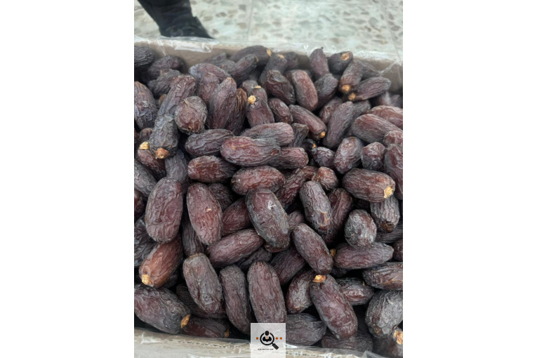 نخل و خرمای 1400 در تهران