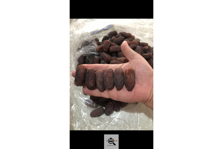 نخل و خرمای 1400 در تهران